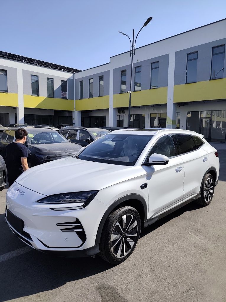 Byd song plus champion ev