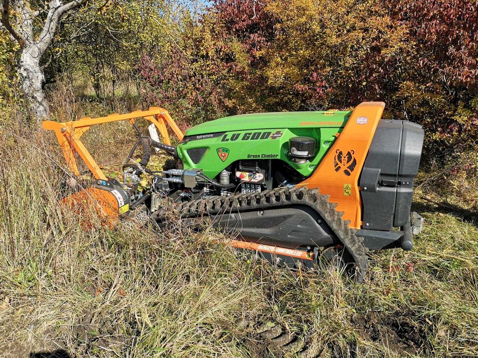 Servicii defrisare vegetatie, intretinere gradini si deszapezire