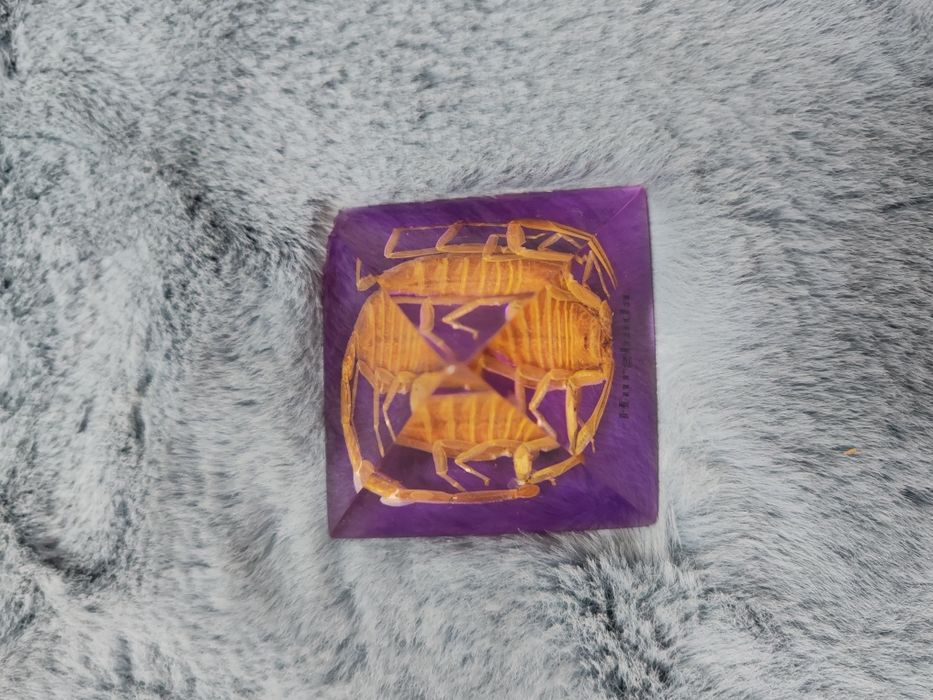 Piramida Egipt scarabeu