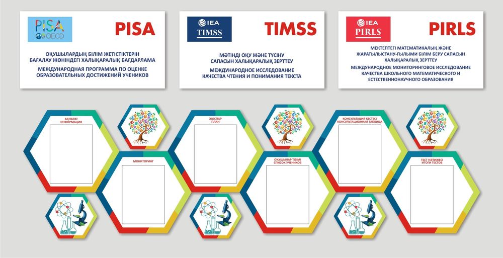 Стенды Pisa timss pirls