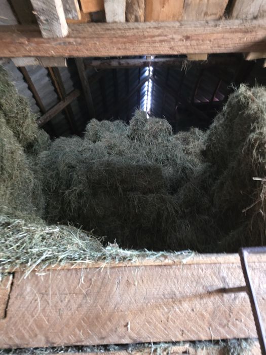 Baloți fân și otavă