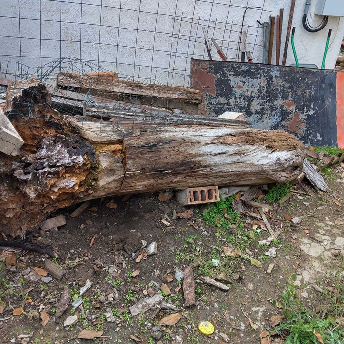 Подарявам стар орех