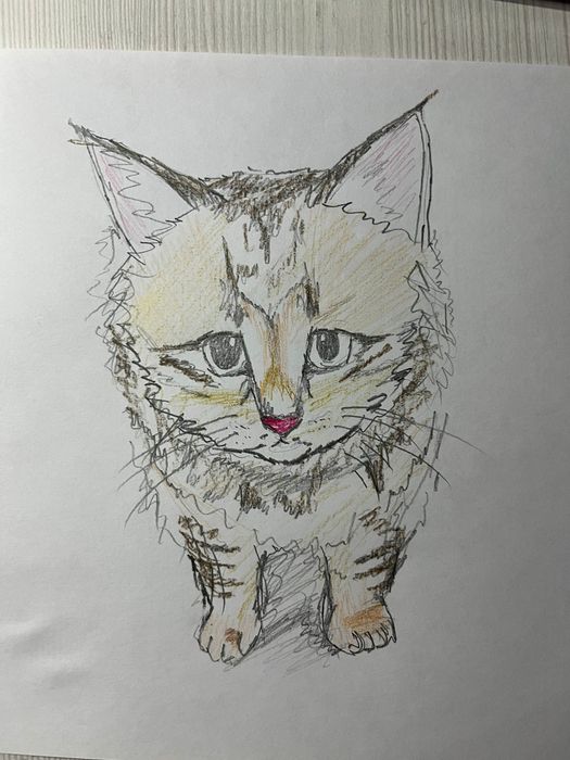 я рисую ваших домашних любых питомцев кошка собака и даже корова