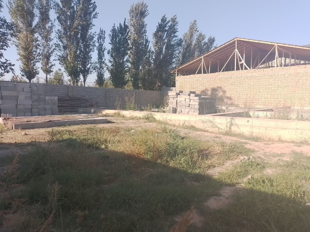 Toshkent shahriga yaqin joyda