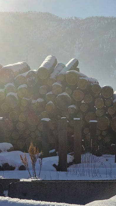 Лиственница пиломатериал, круляк.