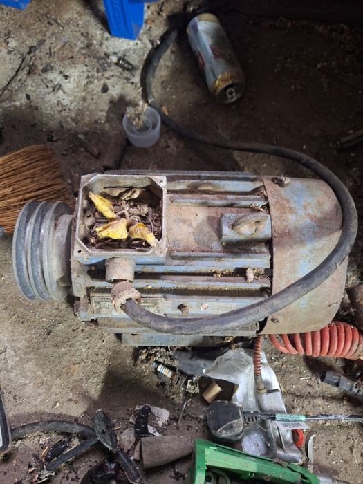 Електрически мотор