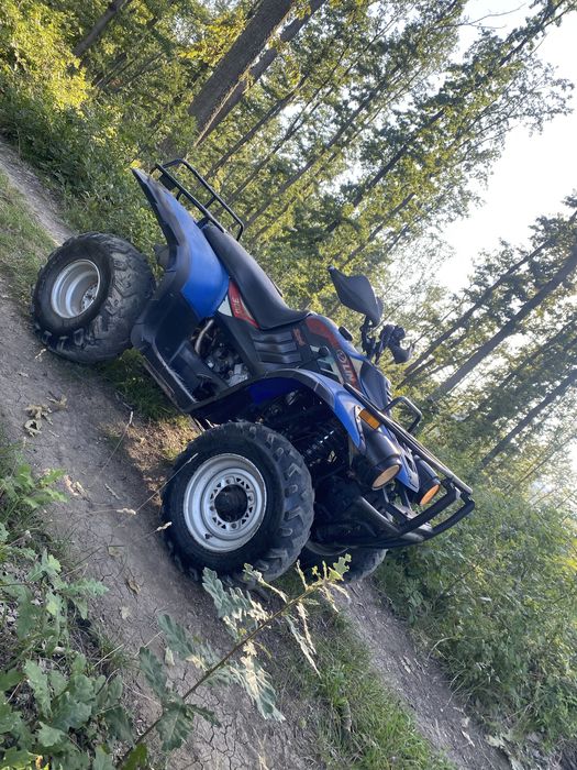 ATV Linhai 300 2x4