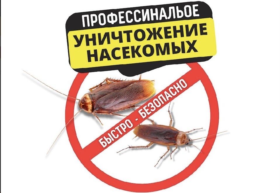 Дезинфекция от клопов, тараканов, блох, кандала 100%! Тараз