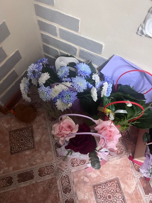 Продам цветы от 3000