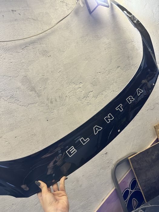 Мухобойка elantra