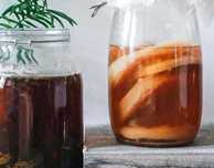 Donez ciupercă de kombucha
