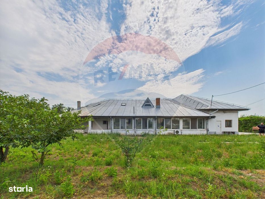 Proprietate speciala Dragomiresti Deal -Teren 15000 mp