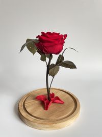 Роза в колбе Deja Vu Rose 27 см. Подарок на 8 марта. Подарок жене.