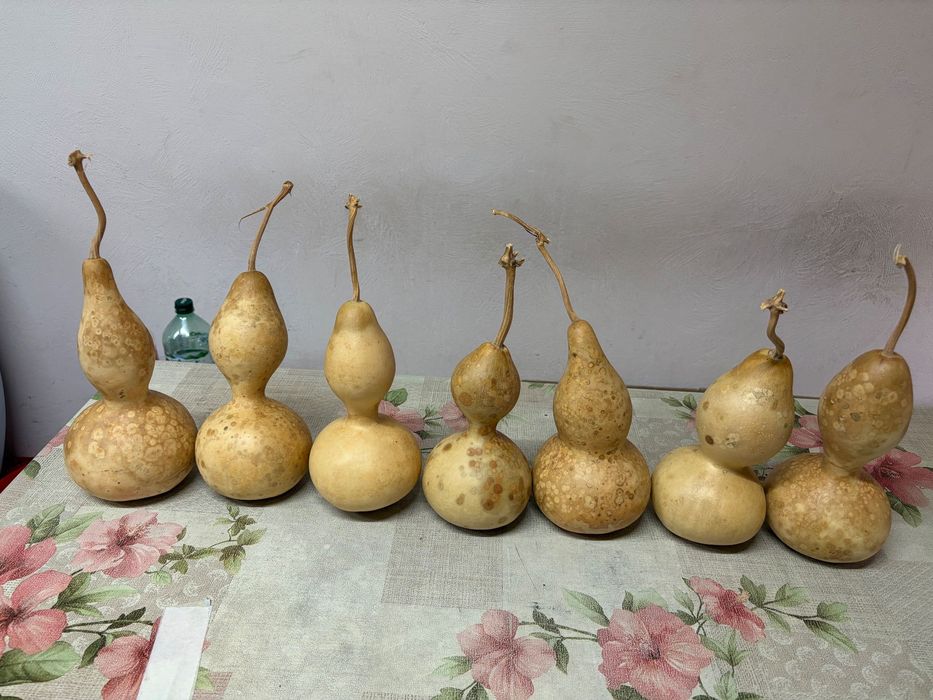 Декоративни кратунки