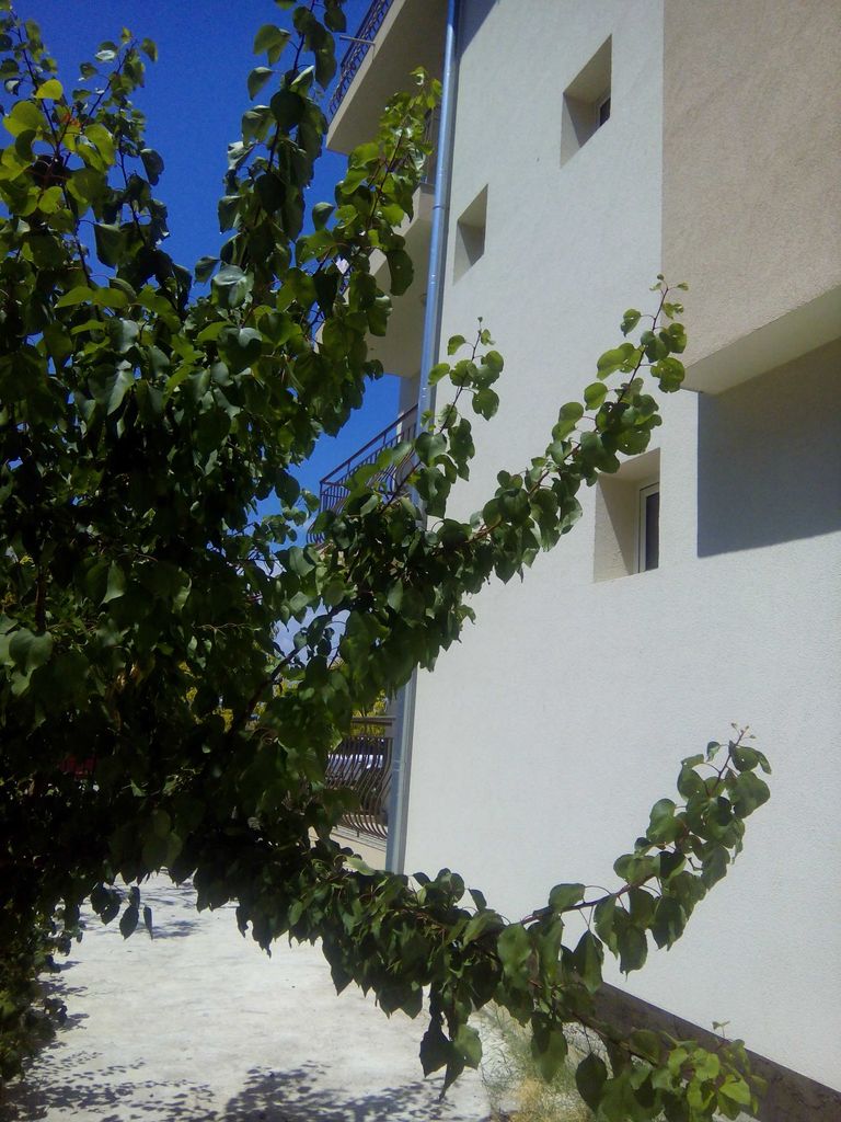 Продава се Хотел в Димитровград - 640 кв.м за 1000 €/кв.м - Снимка #3