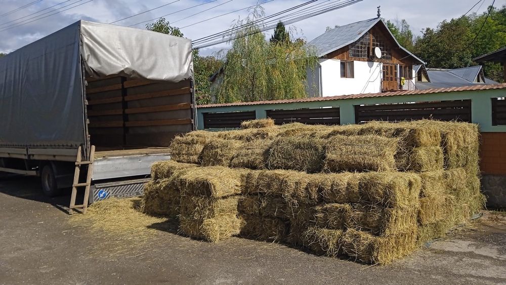 Baloți de Fân Otavă lucernă