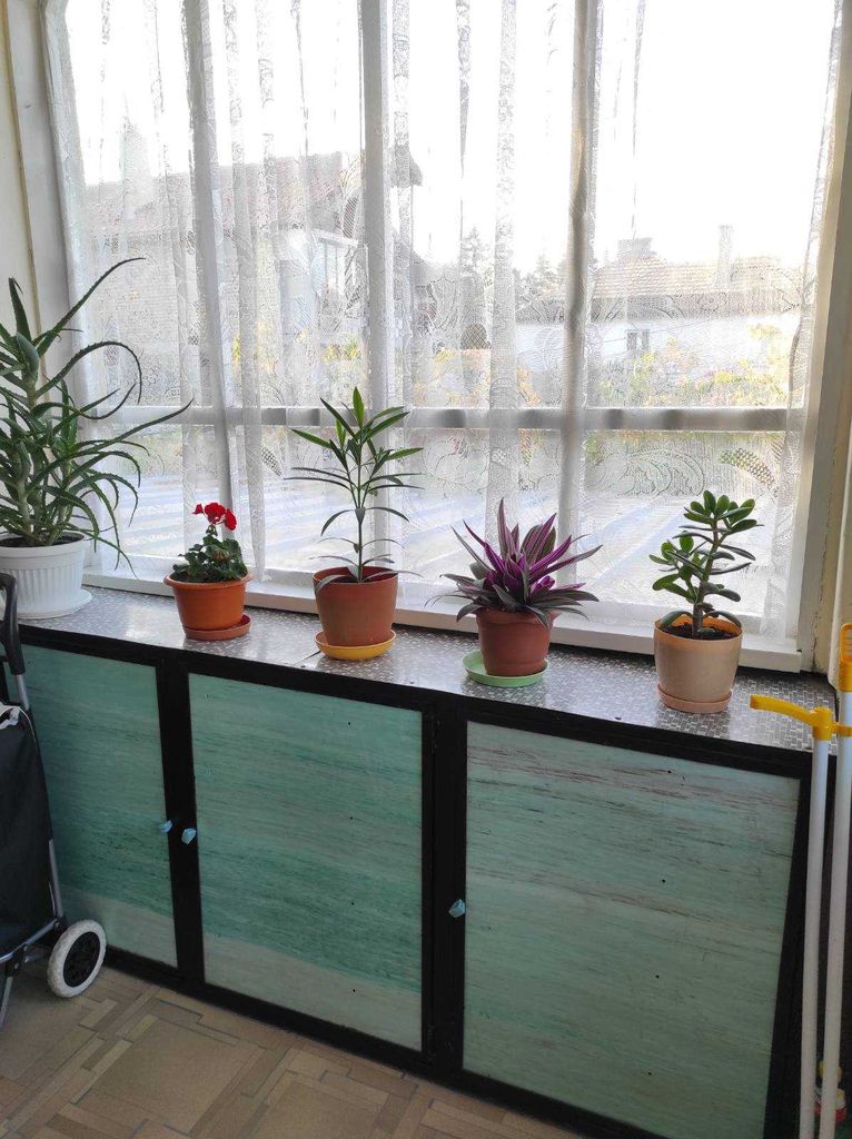 Продава се Къща в Вълчи дол - 120 кв.м за 625 €/кв.м - Снимка #4