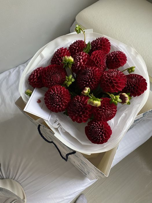 Цветок гул свежий