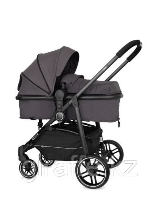 Детская коляска Rant