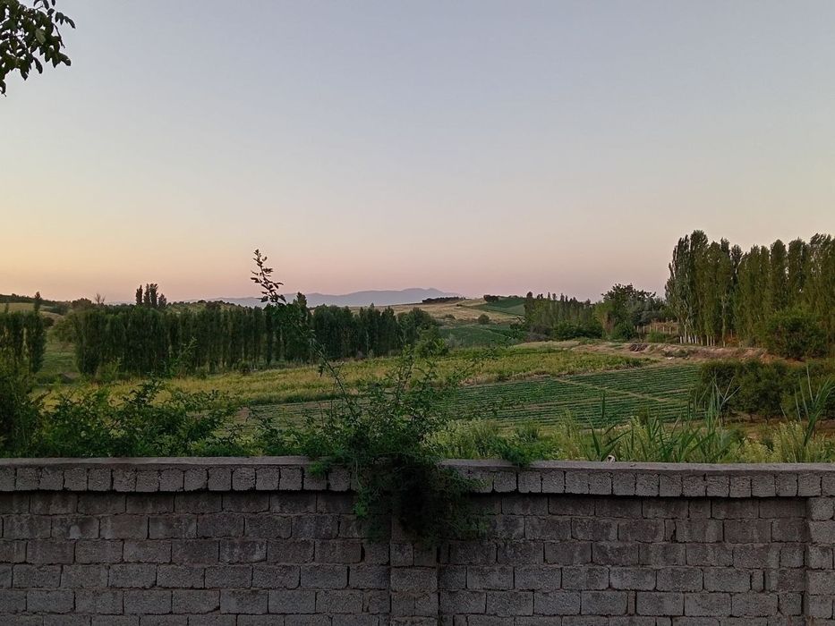 Паркентда  дача сотилади Паркент Жума бозор  дачний посёлок