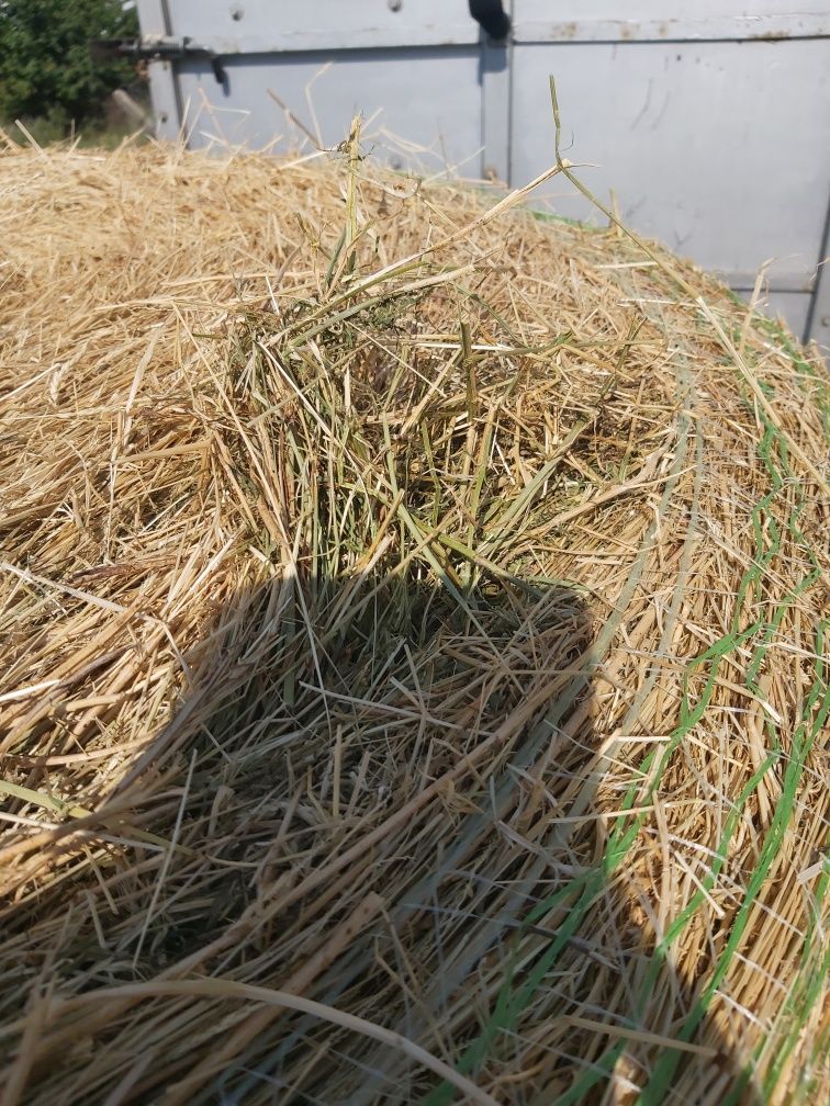 Продавам бали сено с люцерна