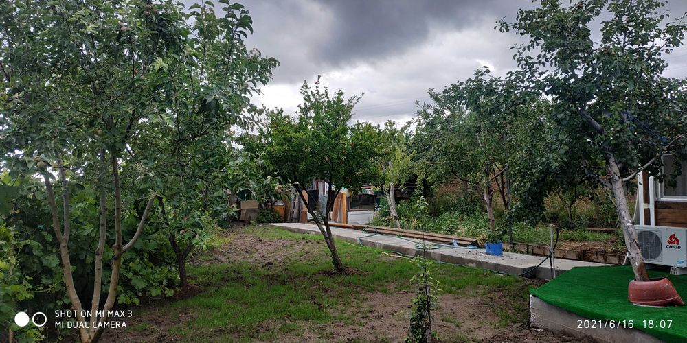 Почистване  и поддръжка на дворове!!!