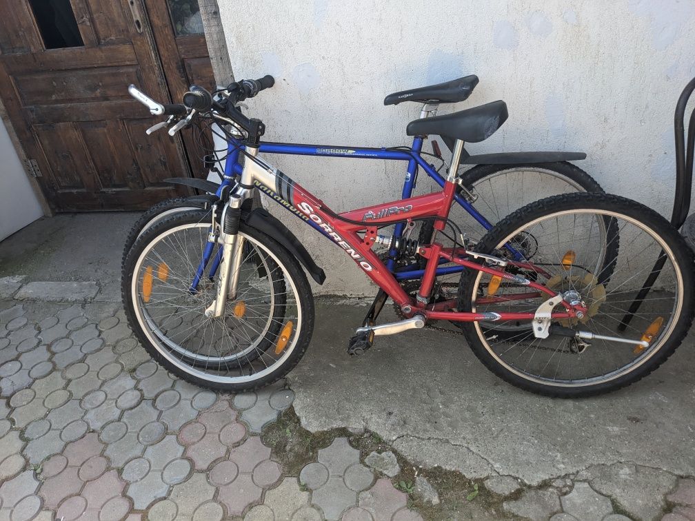 Biciclete cu suspensie