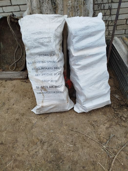 Дрова сосна в мешках сухая.