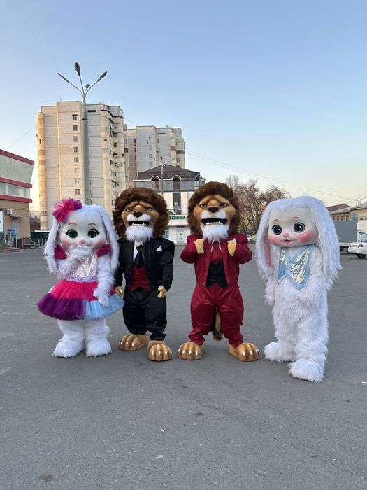 Ayiqlar shou Oformleniya xizmati
