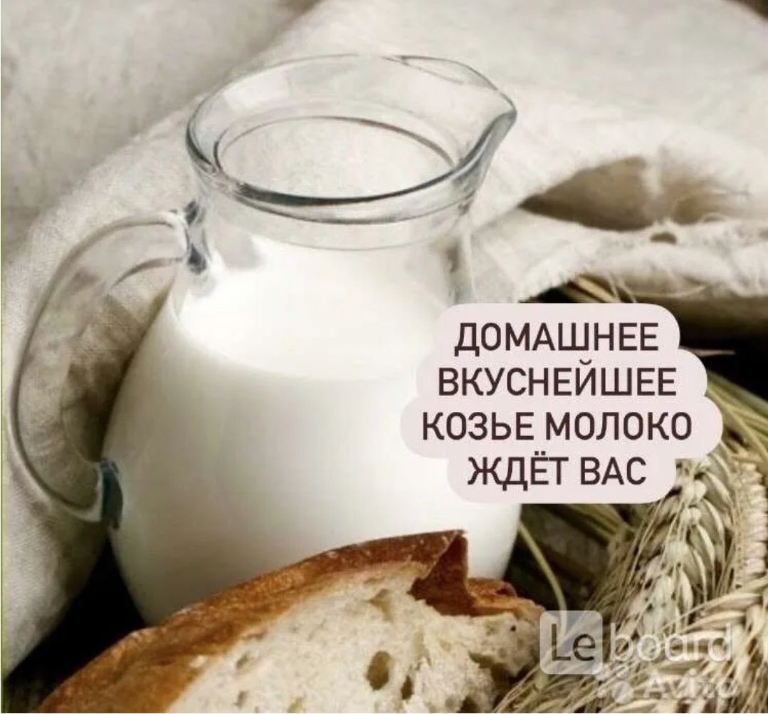 Козье молоко Свежее