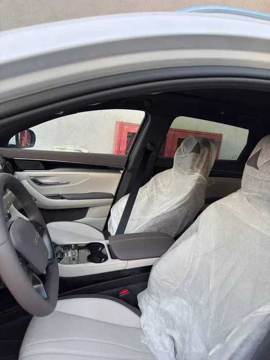 Byd champion 605km