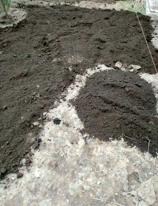 Почвогрунт (Чернозем)