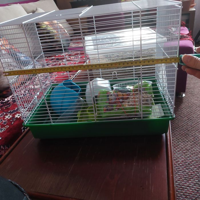 Cusca hamsteri , rozatoare