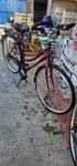 Bicicleta dama Pegasus roti 28 inch