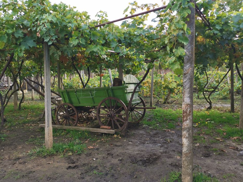 Продавам къща в село Пелишат, Плевенско