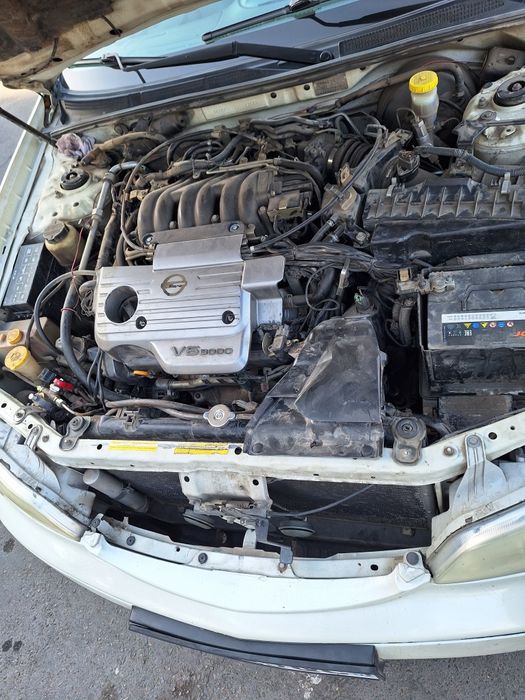 Nissan Maxima 33 Radnoy kiraska