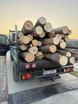 Lemn de foc  DOAR FAG 3,6 cub