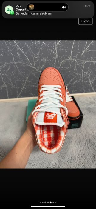 Nike dunk SB lobster orange