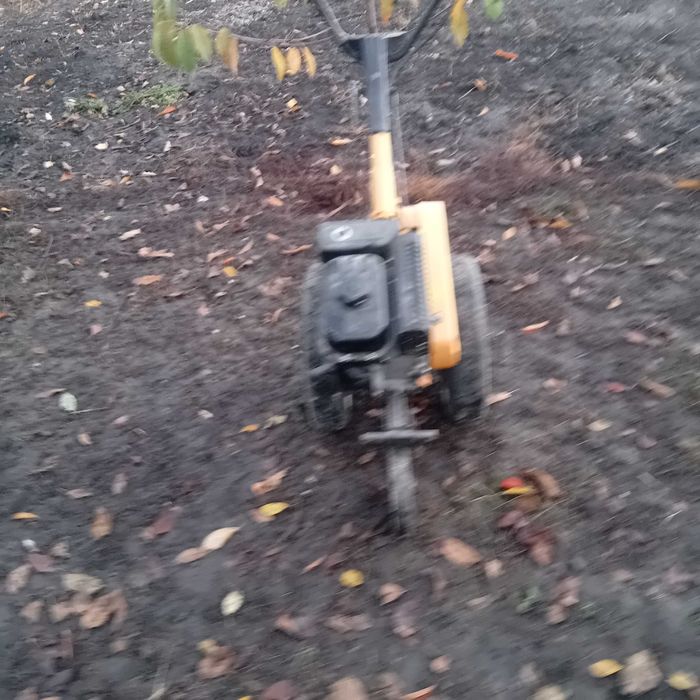 Motosapa de vânzare