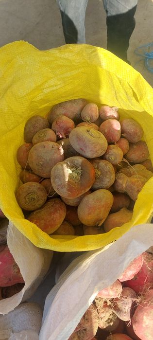 Qizil sholĝom shirin