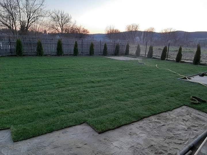 Amenajari gradini gazon rulou  și plante ornamentale