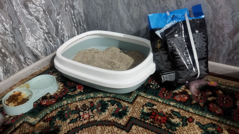 Mushukcha sotiladi sibiriski mushuk bilan chatishgan narsalari bilan