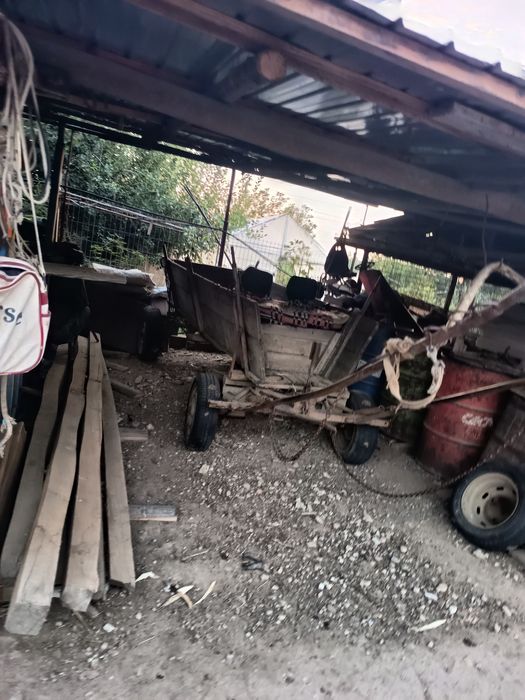 Vând Iapa, căruță, semănătoare,plug