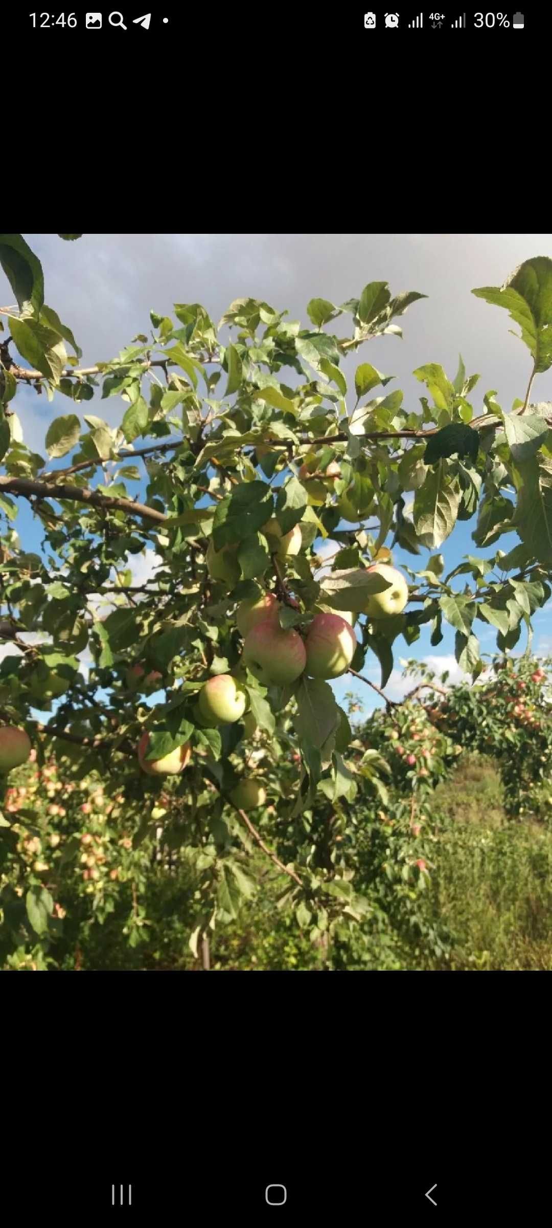 продам дачи СО ,,Мелиоратор,,