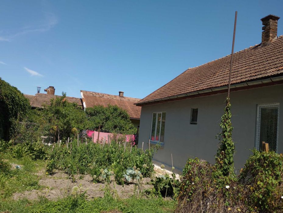 Vând casă dominantă