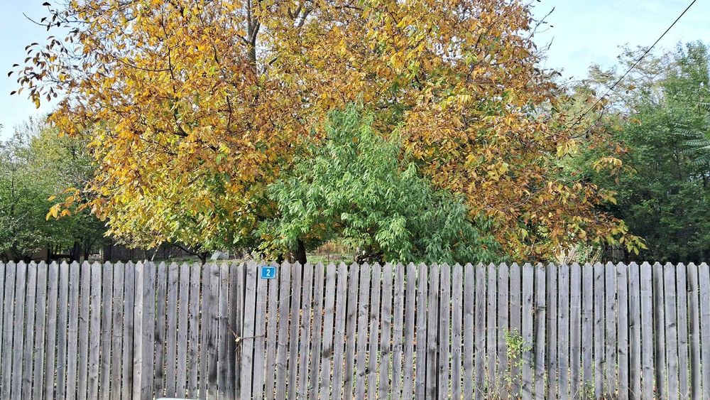 Vând casă modestă