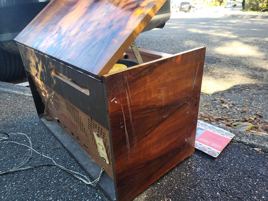 Radio cu pick up Electronica