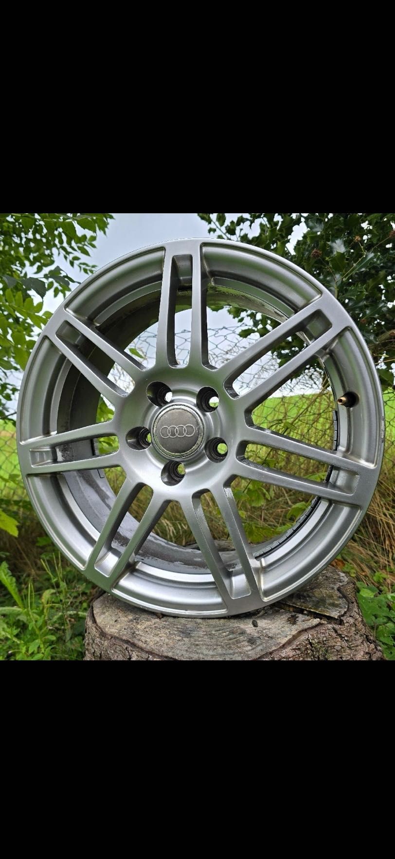 Джанти Ауди Speedline