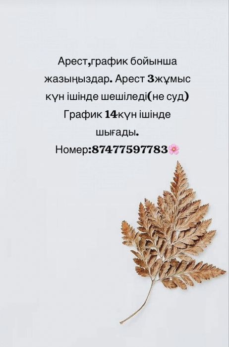 Арест. График. Отсрочка. Оптимизация жасау