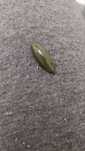 продавам камък Jade cut cabochon